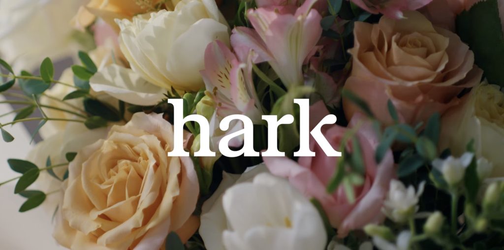 استارتاپ 700 میلیون دلاری Hark از عامل هوش مصنوعی Handoff برای وب‌گردی خودکار رونمایی کرد